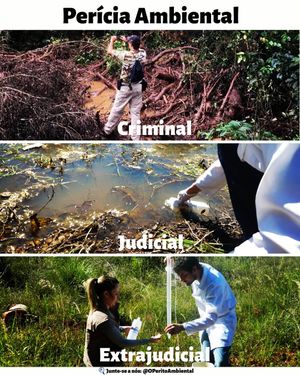 Image post by @operitoambiental on Instagram