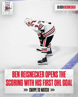 Image post by @ohlicedogs on Instagram