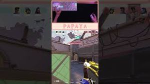 Video post by @artisanpapaya on YouTube