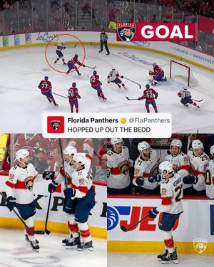 Image post by @flapanthers on Instagram