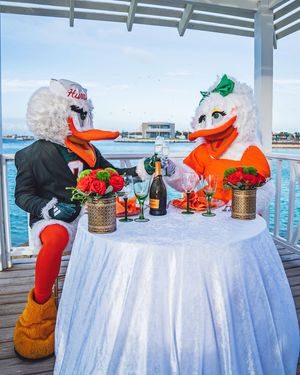 Image post by @um_sebastian on Instagram