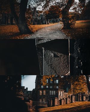 Image post by @danigoinhamm on Instagram