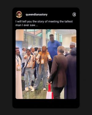 Image post by @queendianastory on Instagram