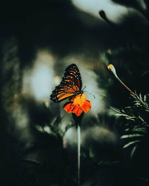 Image post by @chrisbolt on Instagram