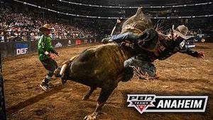 Video post by @pbr on YouTube