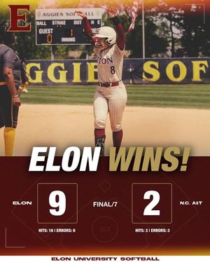 Image post by @elonsoftball on Instagram