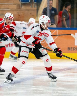 Image post by @swissicehockeymen on Instagram
