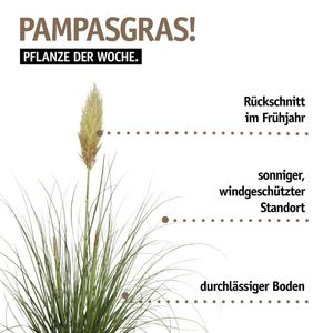 Image post by @oldenburgerwohngarten on Instagram