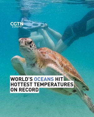 Image post by @cgtneurope on Instagram