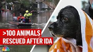 Video post by @nbcnewyork on YouTube
