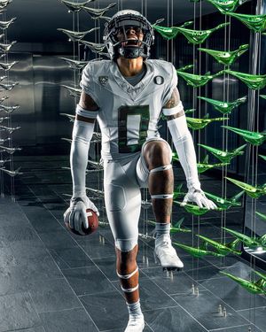 Image post by @goducks on Instagram