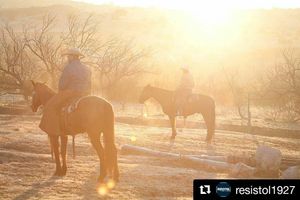 Image post by @prca_prorodeo on Instagram