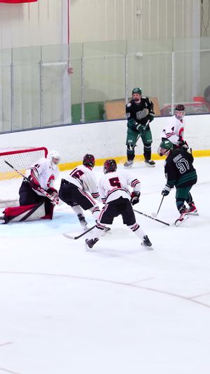 Video post by @fschockey on TikTok