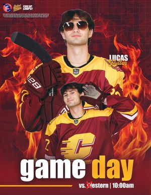 Image post by @cmuhockeyd3 on Instagram