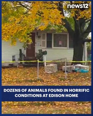Image post by @news12nj on Instagram