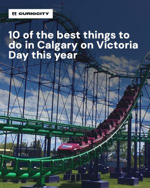 Image post by @curiocitycalgary on Instagram