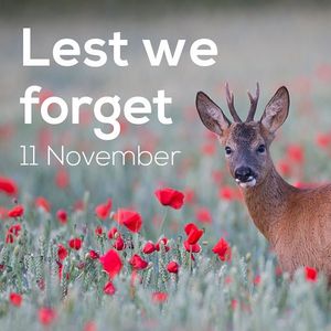 Image post by @rspb on Instagram