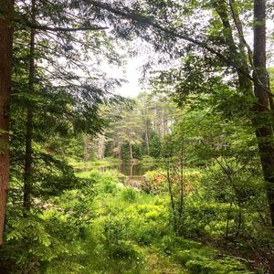 Image post by @themainemag on Instagram