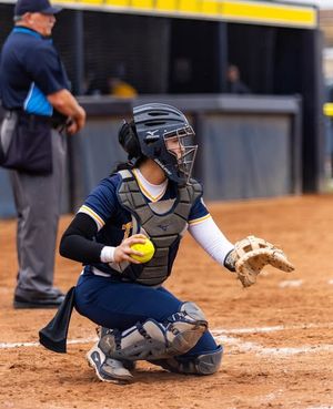 Image post by @toledosoftball on Instagram