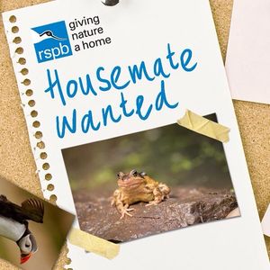 Image post by @rspb on Instagram