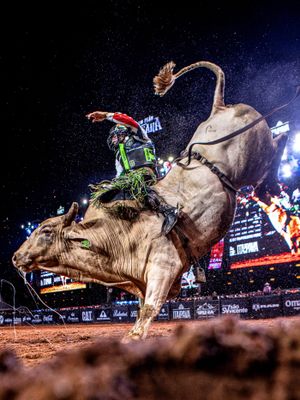 Image post by @pbrbrazil on Instagram