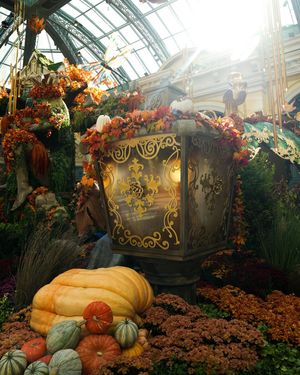 Image post by @bellagio on Instagram