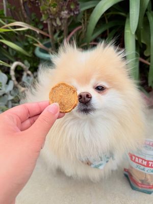 Image post by @farmtopet on Instagram