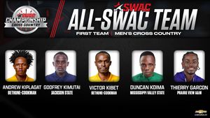 Image post by @theswac on Instagram
