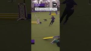 Video post by @foxsports on YouTube