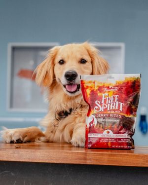 Image post by @triumphpetfood on Instagram