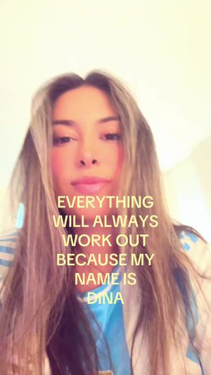Video post by @dinapalevic on TikTok