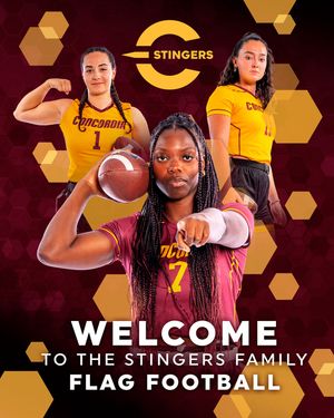 Image post by @the_stingers on Instagram