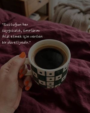 Image post by @ancayaziyor on Instagram
