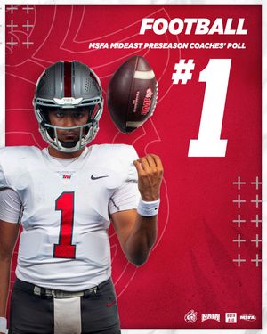 Image post by @iwuwildcats on Instagram