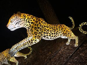 Image post by @bhamzoo on Instagram