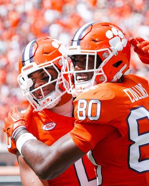 Image post by @cutigervision on Instagram