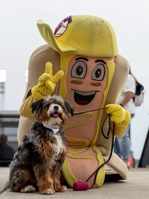 Image post by @CleHotDogs on Twitter