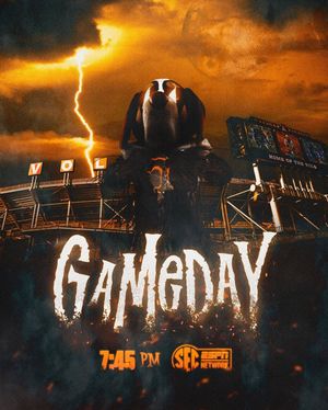 Image post by @vol_sports on Instagram