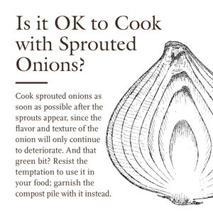 Image post by @cooksillustrated on Instagram