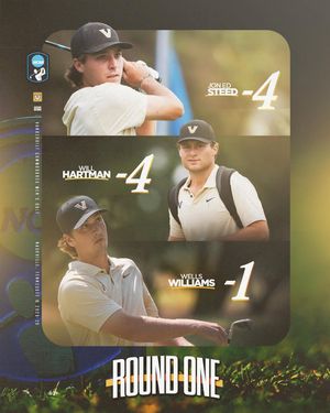Image post by @vandymgolf on Instagram