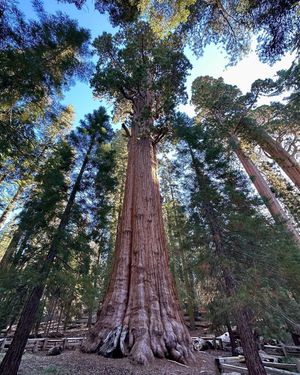 Image post by @nationalparkscollective on Instagram