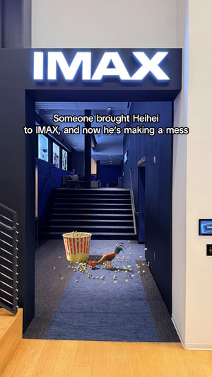 Video post by @imax on TikTok
