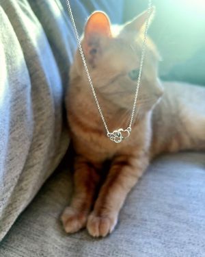 Image post by @jamesavery on Instagram