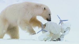 Video post by @bbcearth on YouTube
