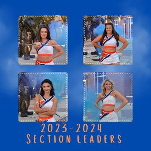 Image post by @uf_gatorettes on Instagram