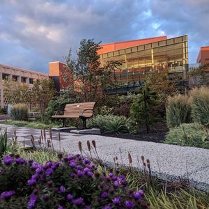 Image post by @universityatbuffalo on Instagram