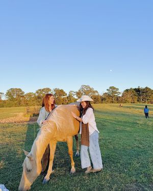 Image post by @samfordchiomega on Instagram