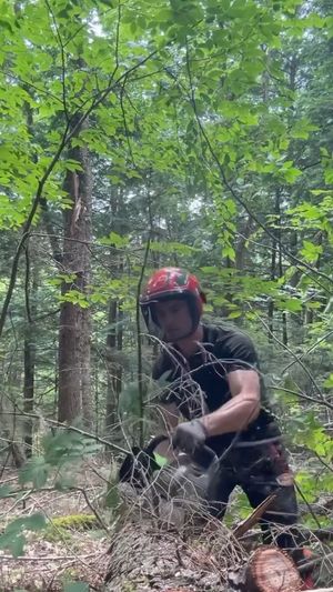 Video post by @greenworkscommercial on Facebook