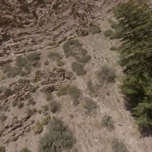 Image post by @somatic.cinema on Facebook