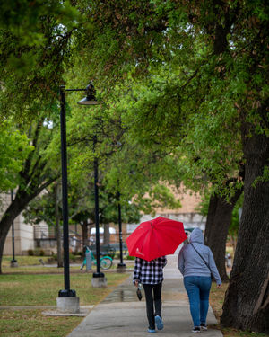 Image post by @unt on Instagram